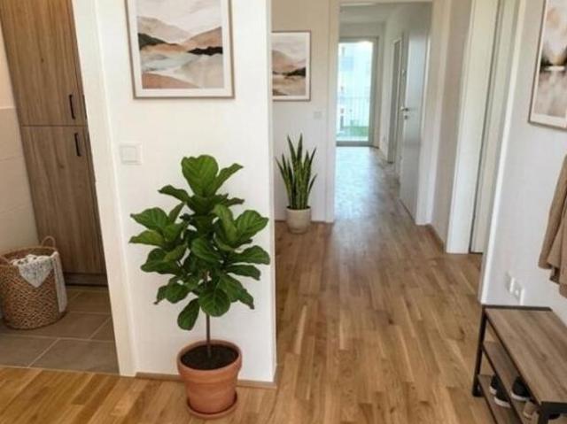 Zu Vermieten 3 Schlafzimmer Wohnung Oberösterreich Oberösterreich DS105038310