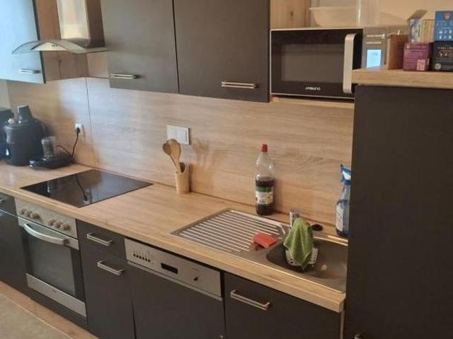 Zu Vermieten 3 Schlafzimmer Wohnung Oberösterreich Oberösterreich DS105152365