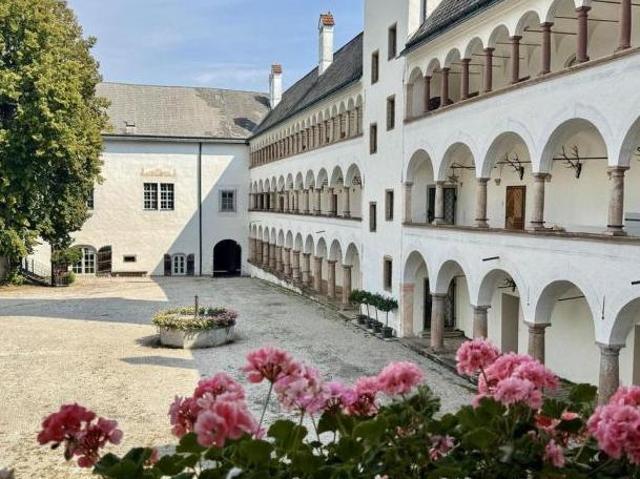 Zu Vermieten 3 Schlafzimmer Wohnung Oberösterreich Oberösterreich DS105101586