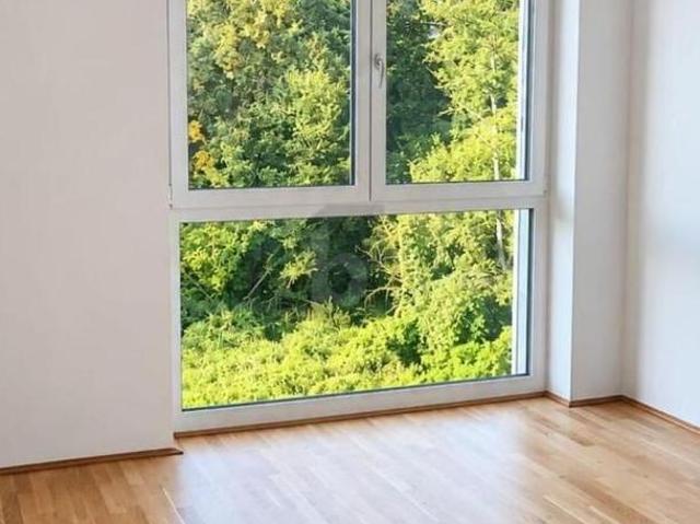 Zu Vermieten 3 Schlafzimmer Wohnung Oberösterreich Oberösterreich DS105760640