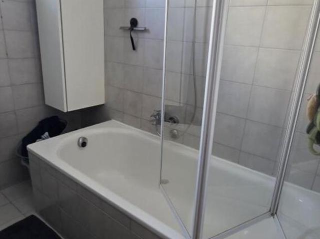 Zu Vermieten 3 Schlafzimmer Wohnung Oberösterreich Oberösterreich DS106172035