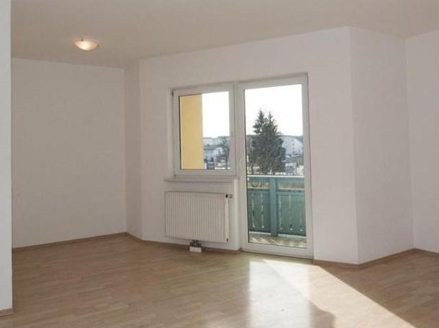 Zu Vermieten 3 Schlafzimmer Wohnung Oberösterreich Oberösterreich DS106121190