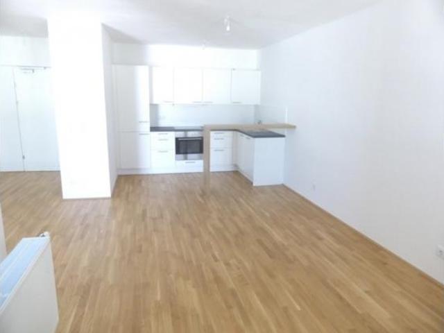Zu Vermieten 3 Schlafzimmer Wohnung Salzburg AUT DLS103245785