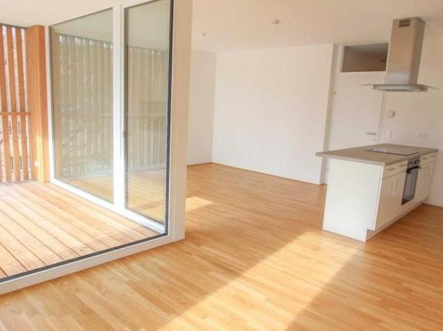 Zu Vermieten 3 Schlafzimmer Wohnung Salzburg Salzburg DS104473794