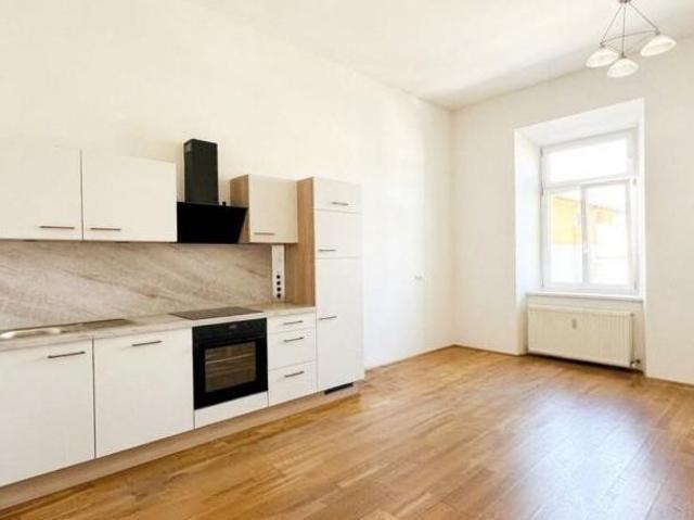 Zu Vermieten 3 Schlafzimmer Wohnung Steiermark Steiermark DLS105718579