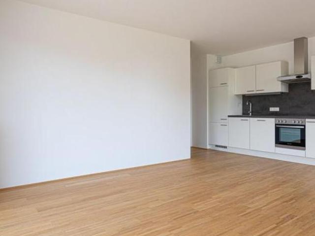 Zu Vermieten 3 Schlafzimmer Wohnung Steiermark Steiermark DS103882113