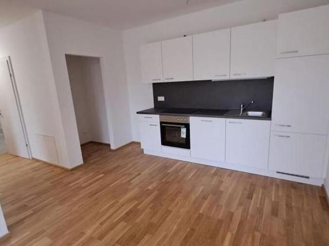 Zu Vermieten 3 Schlafzimmer Wohnung Steiermark Steiermark DS104474020