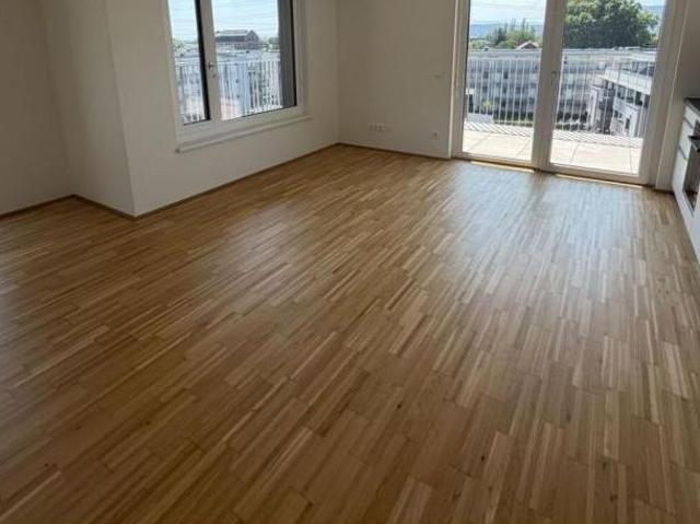 Zu Vermieten 3 Schlafzimmer Wohnung Steiermark Steiermark DS104683864