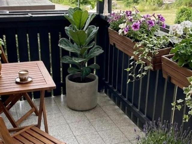 Zu Vermieten 3 Schlafzimmer Wohnung Steiermark Steiermark DS104844564