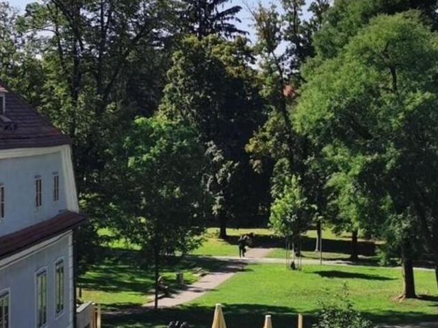 Zu Vermieten 3 Schlafzimmer Wohnung Steiermark Steiermark DS105862668