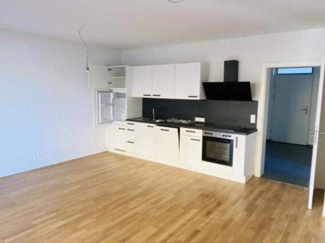Zu Vermieten 3 Schlafzimmer Wohnung Steiermark Steiermark DS105053792