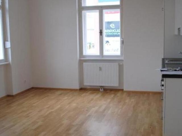 Zu Vermieten 3 Schlafzimmer Wohnung Steiermark Steiermark DS105054919