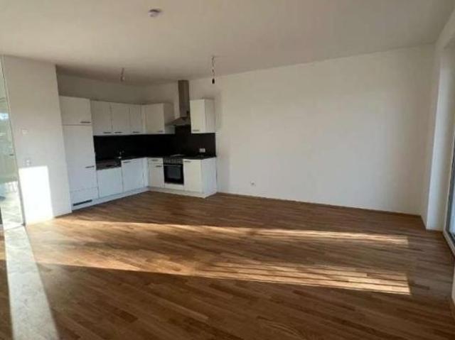 Zu Vermieten 3 Schlafzimmer Wohnung Steiermark Steiermark DS105075282