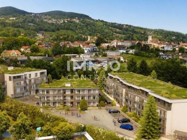 Zu Vermieten 3 Schlafzimmer Wohnung Steiermark Steiermark DS105075364