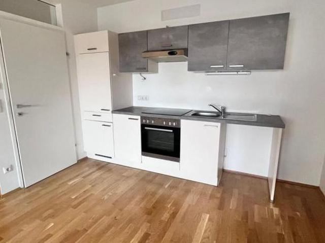 Zu Vermieten 3 Schlafzimmer Wohnung Steiermark Steiermark DS105076905