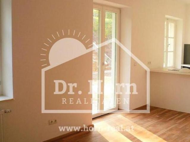 Zu Vermieten 3 Schlafzimmer Wohnung Steiermark Steiermark DS105251947