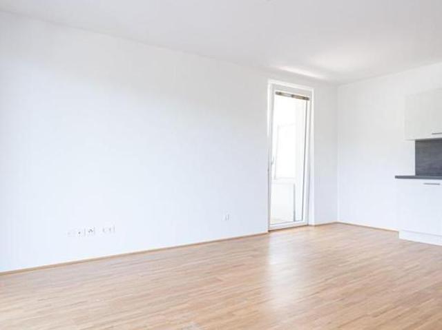 Zu Vermieten 3 Schlafzimmer Wohnung Steiermark Steiermark DS106034197