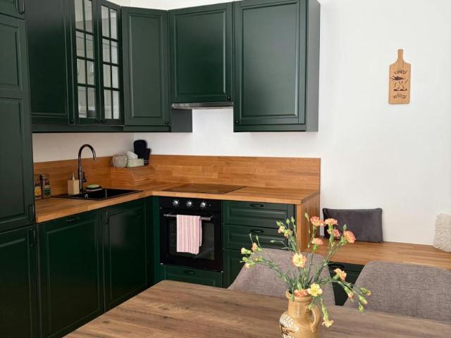 Zu Vermieten 1 Schlafzimmer Wohnung Vienna Vienna DLS105101333