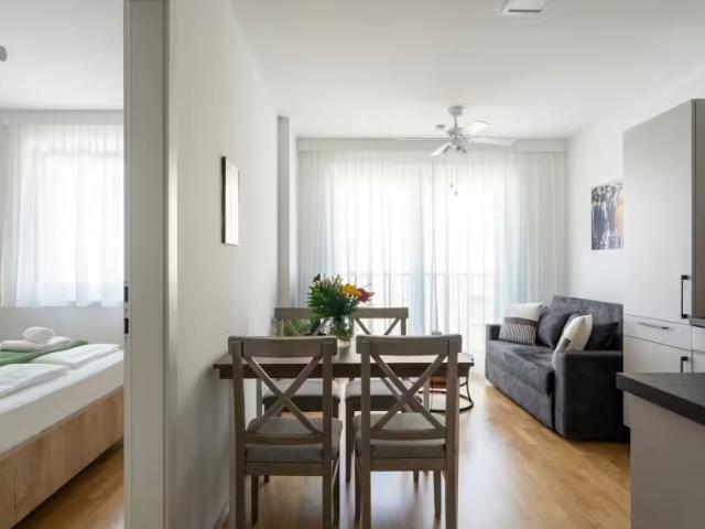 Zu Vermieten 1 Schlafzimmer Wohnung Vienna Vienna DLS96304515