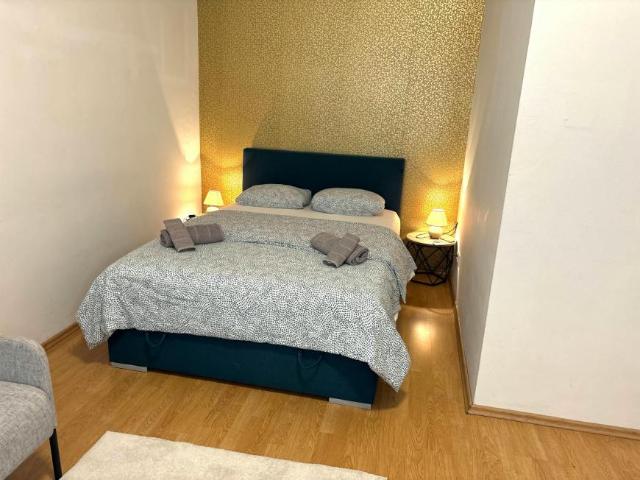 Zu Vermieten 1 Schlafzimmer Wohnung Vienna Vienna DS104107824