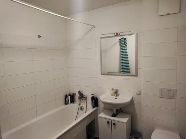 Zu Vermieten 1 Schlafzimmer Wohnung Vienna Vienna DS104257880