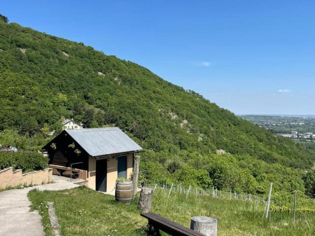 Zu Vermieten 1 Schlafzimmer Wohnung Vienna Vienna DS105024620