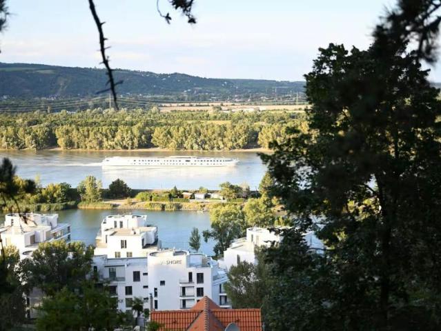Zu Vermieten 1 Schlafzimmer Wohnung Vienna Vienna DS105072896