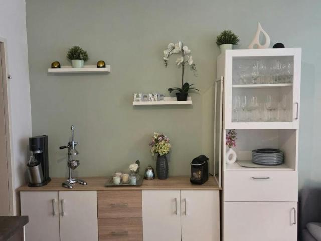 Zu Vermieten 1 Schlafzimmer Wohnung Vienna Vienna DS105436111