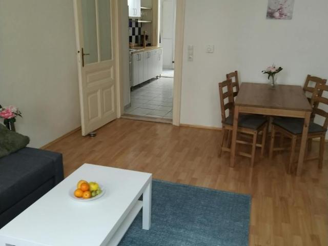 Zu Vermieten 1 Schlafzimmer Wohnung Vienna Vienna DS105544630