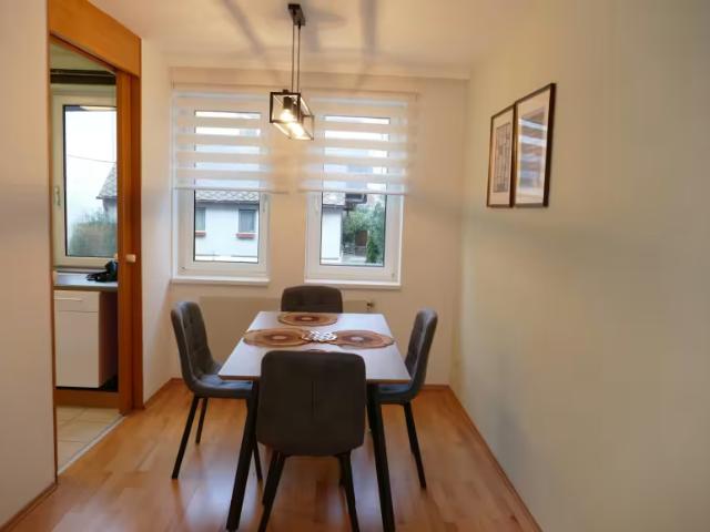 Zu Vermieten 1 Schlafzimmer Wohnung Vienna Vienna DS100384686