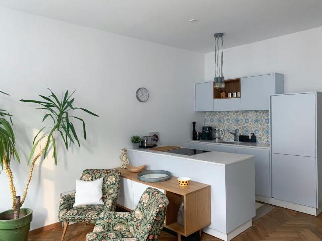 Zu Vermieten 1 Schlafzimmer Wohnung Vienna Vienna DS100607156