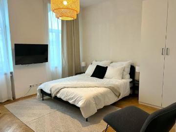 Zu Vermieten 1 Schlafzimmer Wohnung Vienna Vienna DS100718704