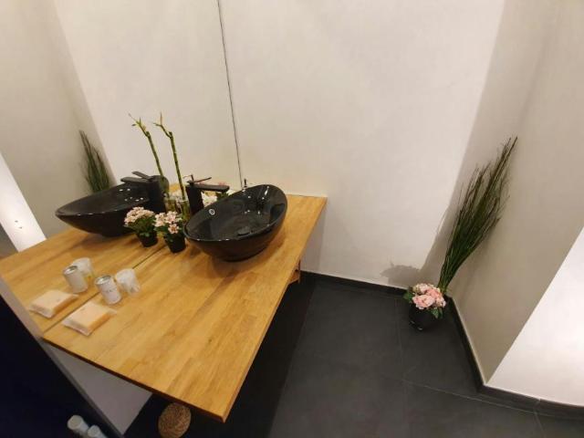 Zu Vermieten 1 Schlafzimmer Wohnung Vienna Vienna DS100729945