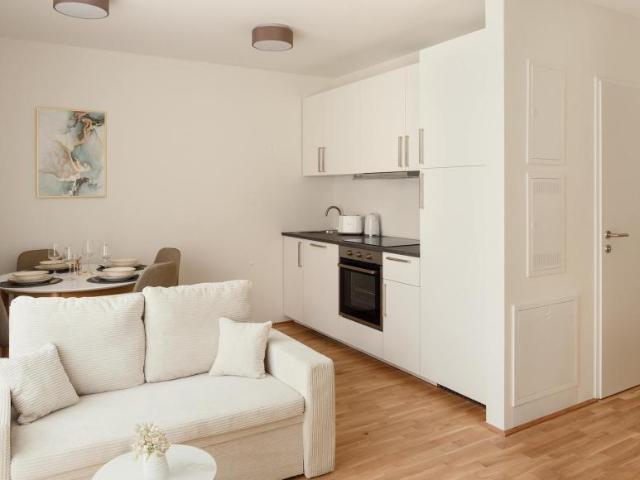 Zu Vermieten 1 Schlafzimmer Wohnung Vienna Vienna DS100875513