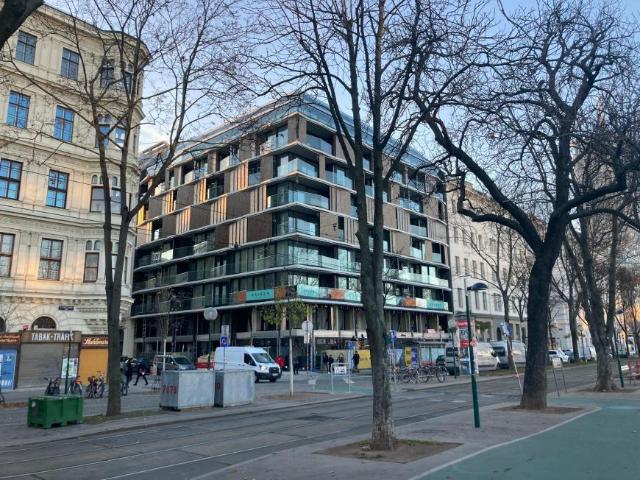 Zu Vermieten 1 Schlafzimmer Wohnung Vienna Vienna DS100913239