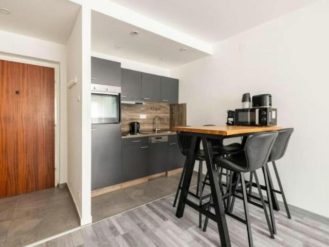 Zu Vermieten 1 Schlafzimmer Wohnung Vienna Vienna DS101097668