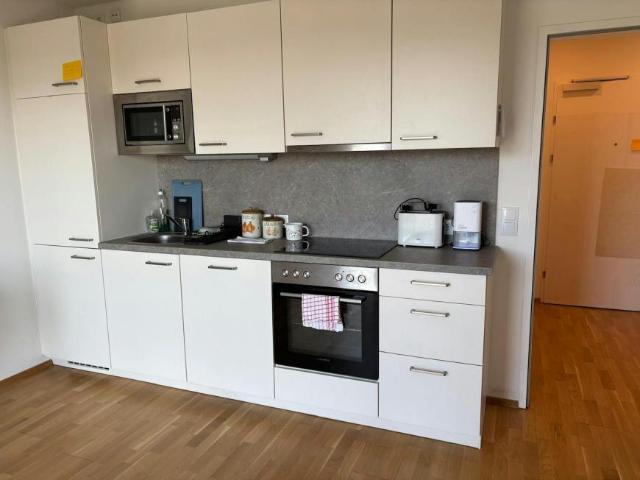 Zu Vermieten 1 Schlafzimmer Wohnung Vienna Vienna DS101407578