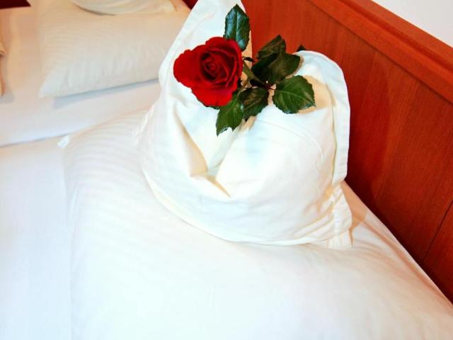 Zu Vermieten 1 Schlafzimmer Wohnung Vienna Vienna DS101408973