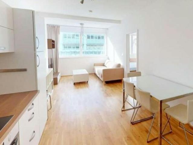 Zu Vermieten 1 Schlafzimmer Wohnung Vienna Vienna DS101448371