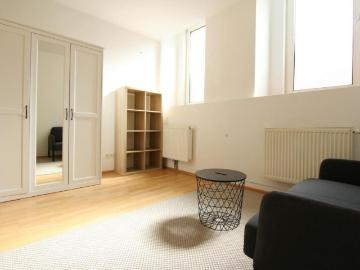 Zu Vermieten 1 Schlafzimmer Wohnung Vienna Vienna DS102114818