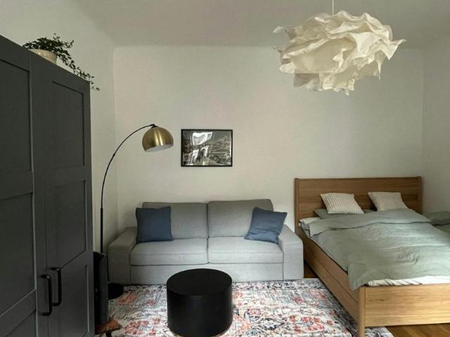 Zu Vermieten 1 Schlafzimmer Wohnung Vienna Vienna DS102470209