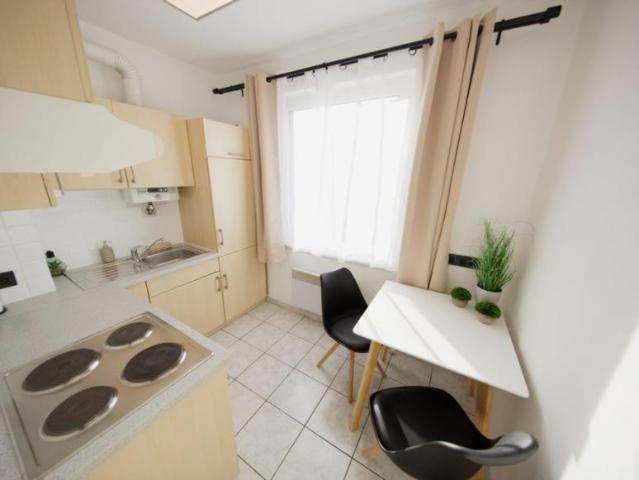 Zu Vermieten 1 Schlafzimmer Wohnung Vienna Vienna DS102917499
