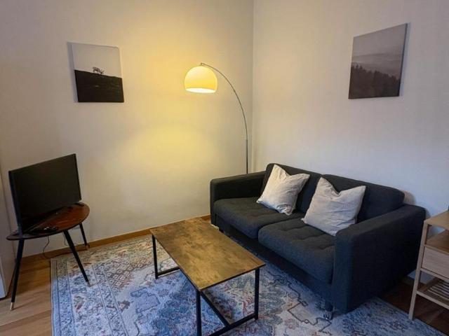 Zu Vermieten 1 Schlafzimmer Wohnung Vienna Vienna DS103595646