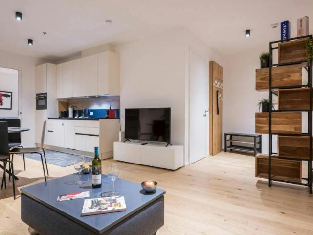 Zu Vermieten 1 Schlafzimmer Wohnung Vienna Vienna DS103613268