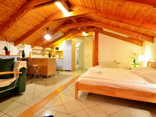 Zu Vermieten 1 Schlafzimmer Wohnung Vienna Vienna DS103655434