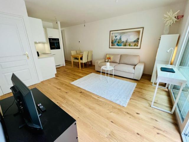 Zu Vermieten 1 Schlafzimmer Wohnung Vienna Vienna DS103655755