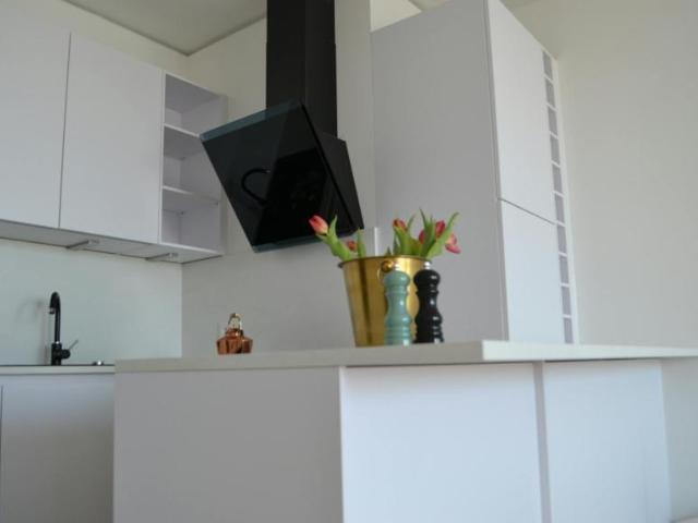Zu Vermieten 1 Schlafzimmer Wohnung Vienna Vienna DS103657327