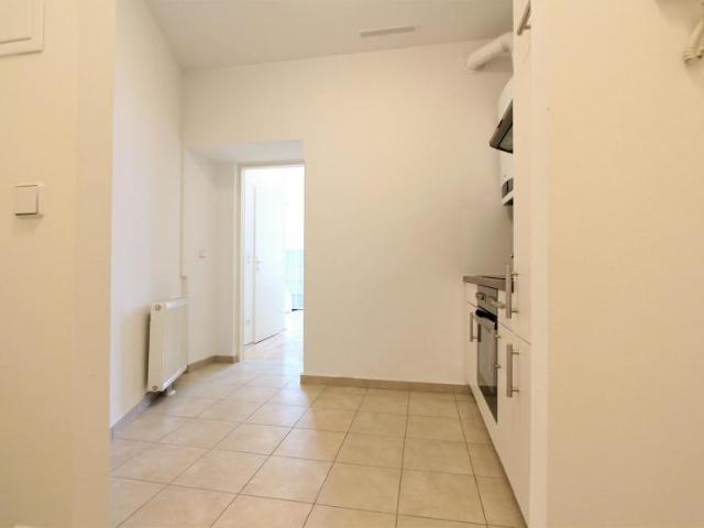 Zu Vermieten 1 Schlafzimmer Wohnung Vienna Vienna DS103842878