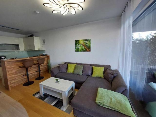 Zu Vermieten 1 Schlafzimmer Wohnung Vienna Vienna DS66929754