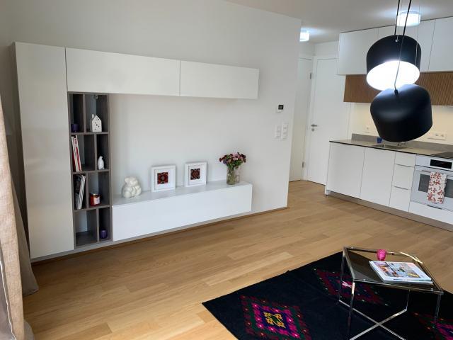 Zu Vermieten 1 Schlafzimmer Wohnung Vienna Vienna DS66930065
